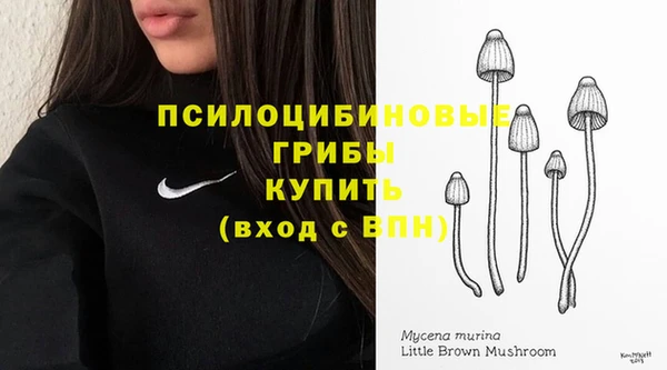 apvp Няндома