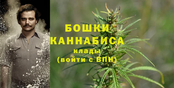 таблы Осинники