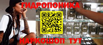 индика Донецк