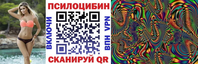 кракен как войти  Кирово-Чепецк  Псилоцибиновые грибы Psilocybine cubensis 