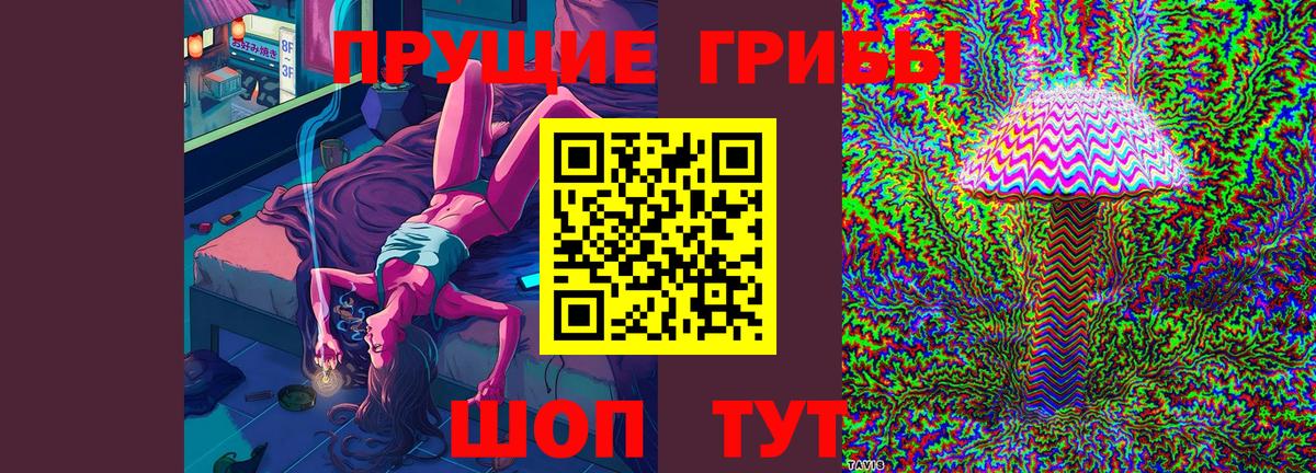 Псилоцибиновые грибы мицелий  Кирово-Чепецк  Псилоцибиновые грибы ЛСД 