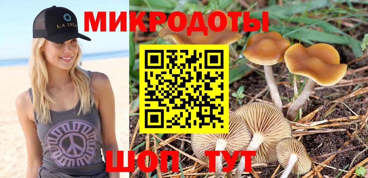 Галлюциногенные грибы MAGIC MUSHROOMS  Вход с VPN  Кирово-Чепецк 