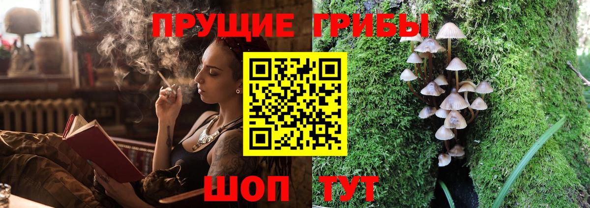 Псилоцибиновые грибы прущие грибы Кирово-Чепецк